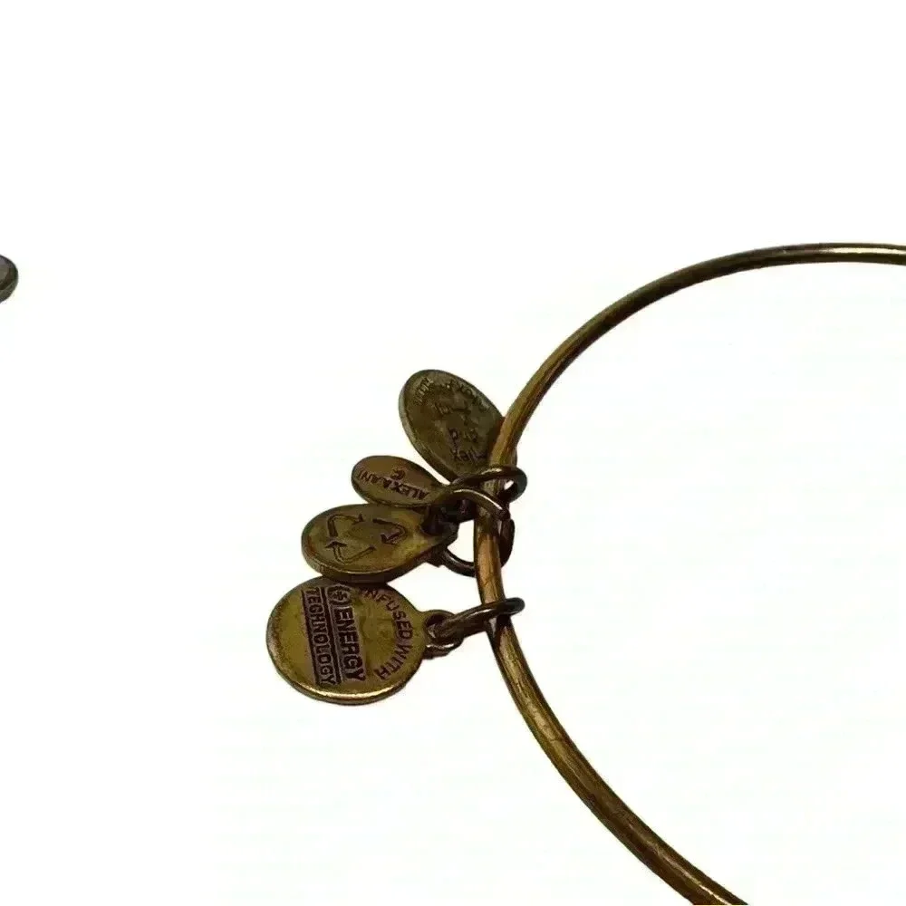 Alex and Ani Gold and silver charm bracelets women’s jewelry